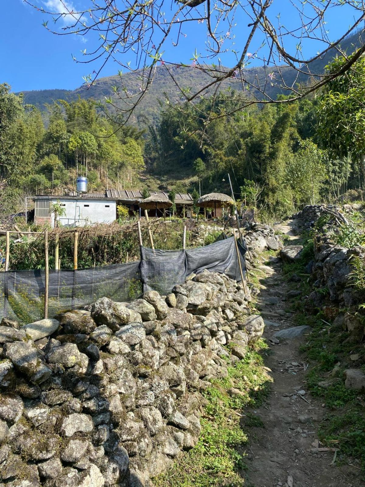 Sue Pa Family Trekking Homestay Sapa Bagian luar foto