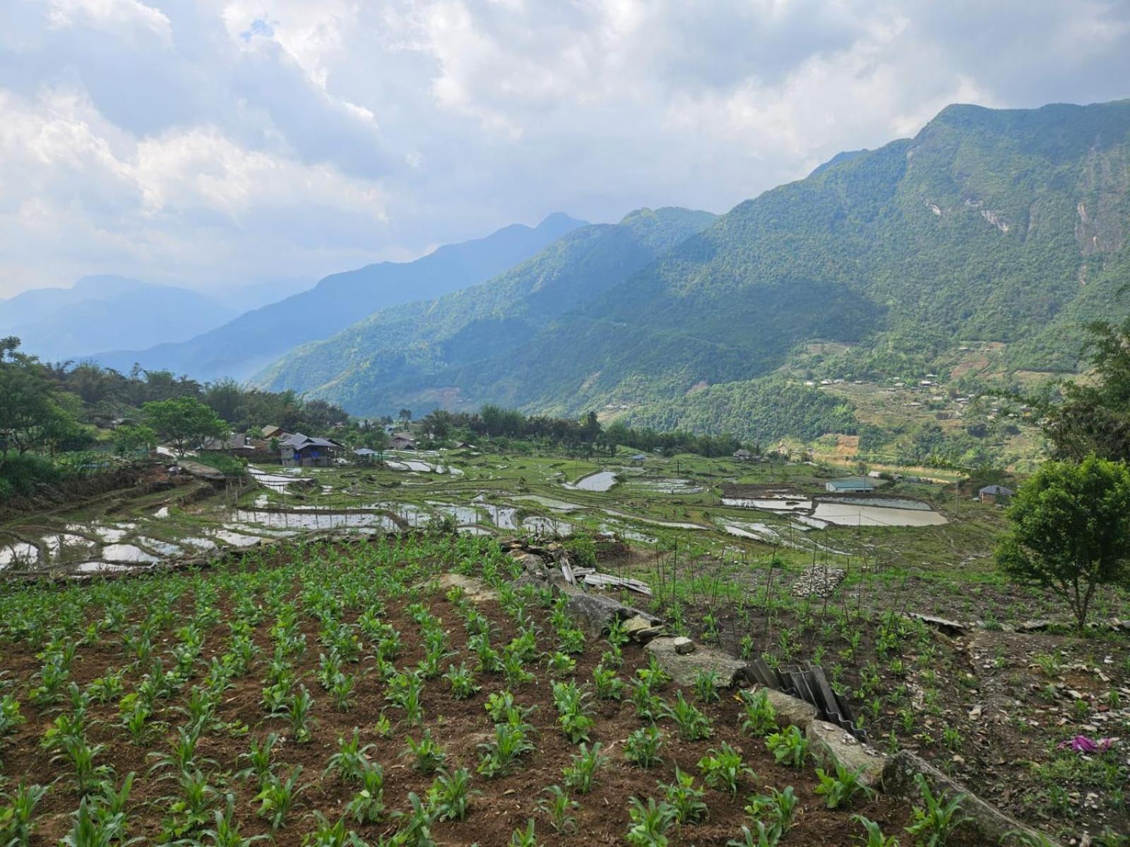 Sue Pa Family Trekking Homestay Sapa Bagian luar foto
